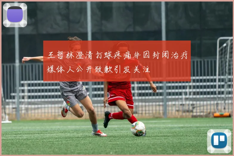 王哲林澄清打球疼痛非因封闭治疗媒体人公开致歉引发关注