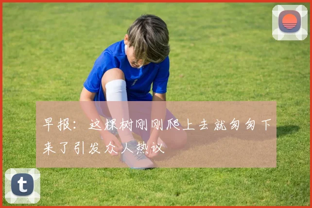 早报：这棵树刚刚爬上去就匆匆下来了引发众人热议